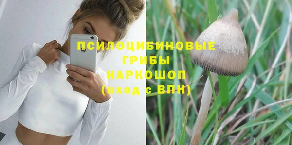ешки Зерноград