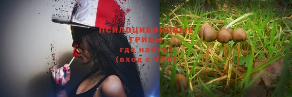 ешки Зерноград