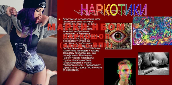 ешки Зерноград
